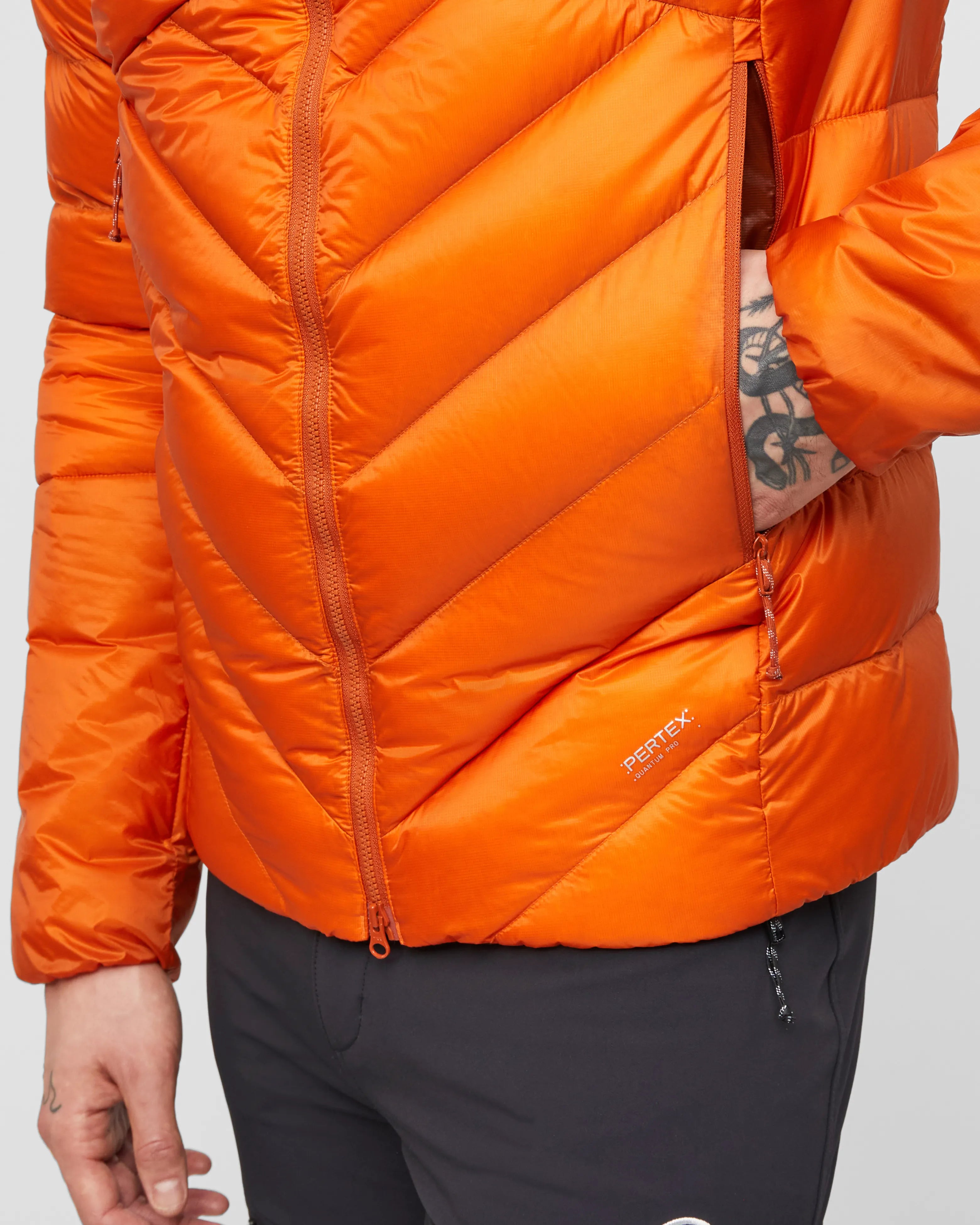 autumn larice