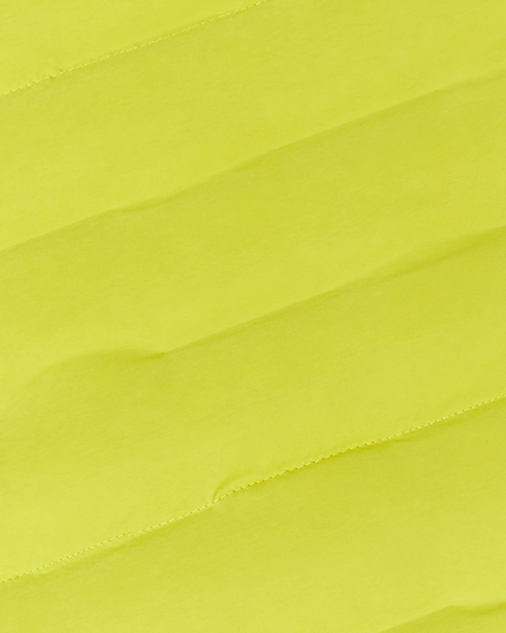 acacia
