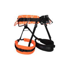 vibrant orange-black
